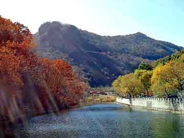 正版澳门天天开彩大全，天津排水板